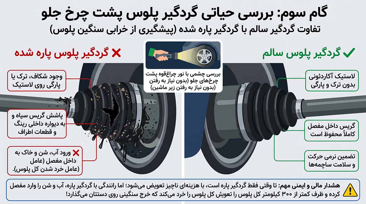 مقایسه گردگیر پلوس سالم با گردگیر پاره